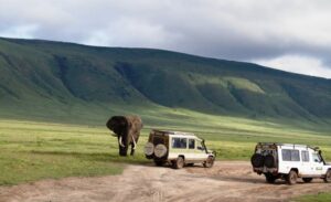 Tanzania safari experience