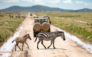 one way car rental Tanzania