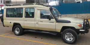 Safari Land Cruiser
