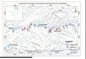 Mara crossing points
