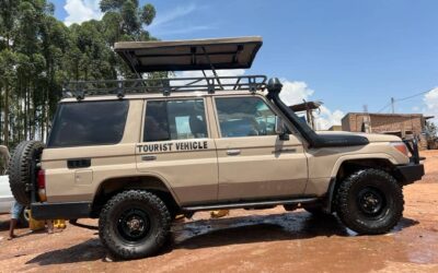 4X4 safari Landcruiser