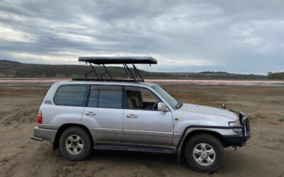 V8/VX landcruiser with pop up roof