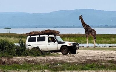 Hardtop with double rooftop tent