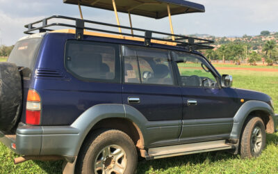 landcruiser-tx-with-pop-up-roof